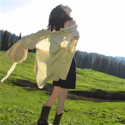 笨蛋·测验·召唤兽 续篇